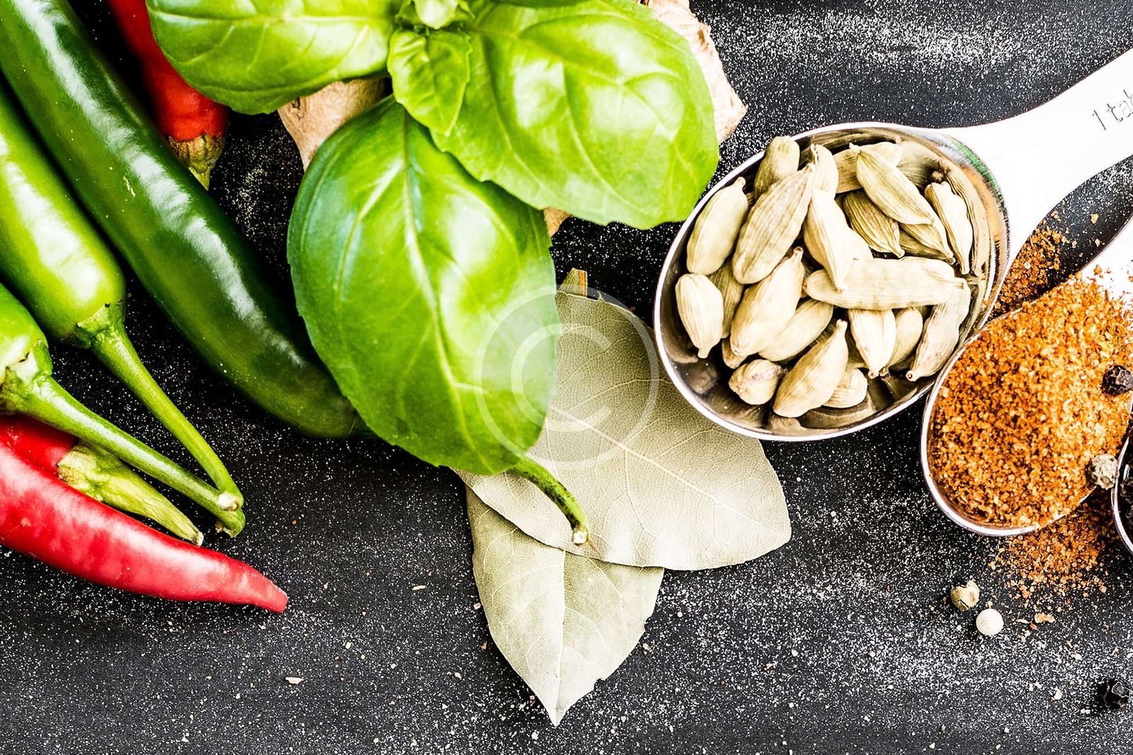 Middle East cuisine and its best recipes