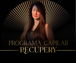 PROGRAMA RECUPERY DO ZERO