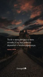 EM BUSCA DE UM CORAÇÃO PURO - Imagem 2